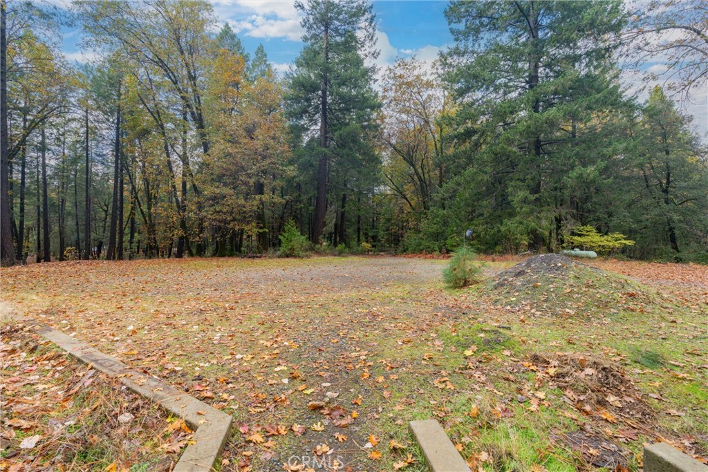 16376 Stage Road Forest Ranch, CA 95942 - Photo 71 of 74