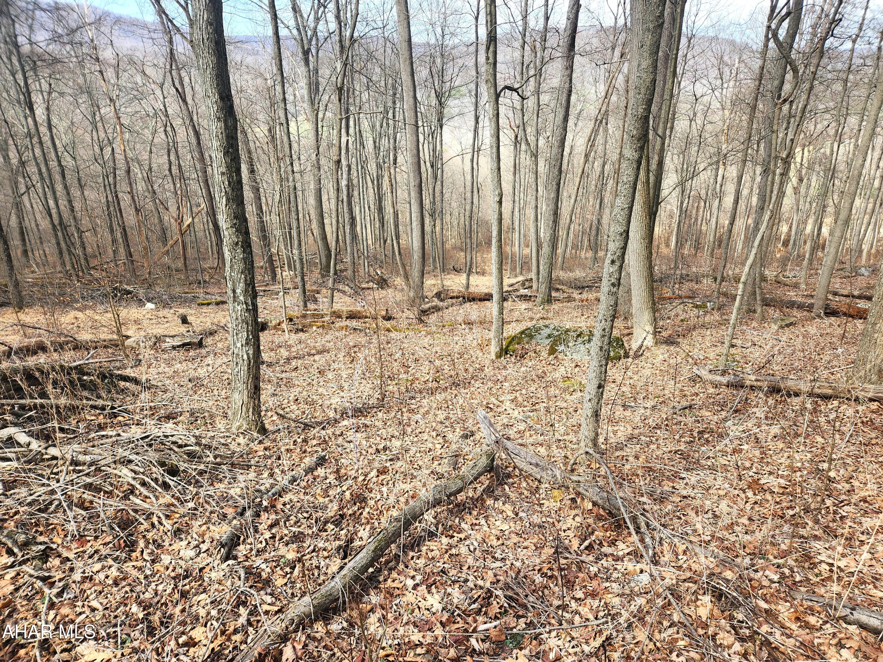 303 Wake Road Buffalo Mills, PA 15534 - Photo 25 of 31