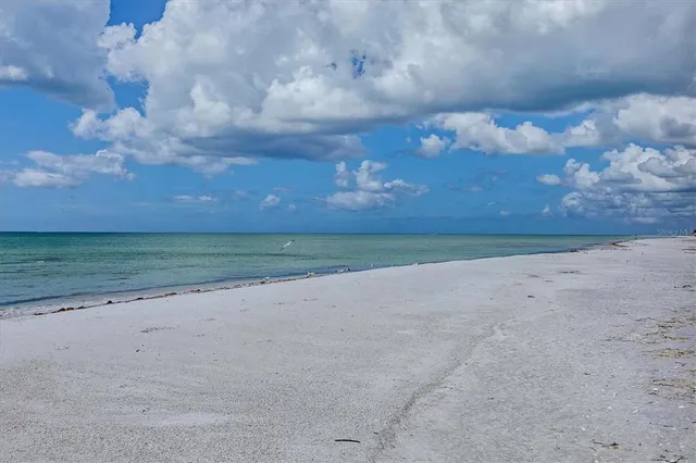 a view of a dry yard