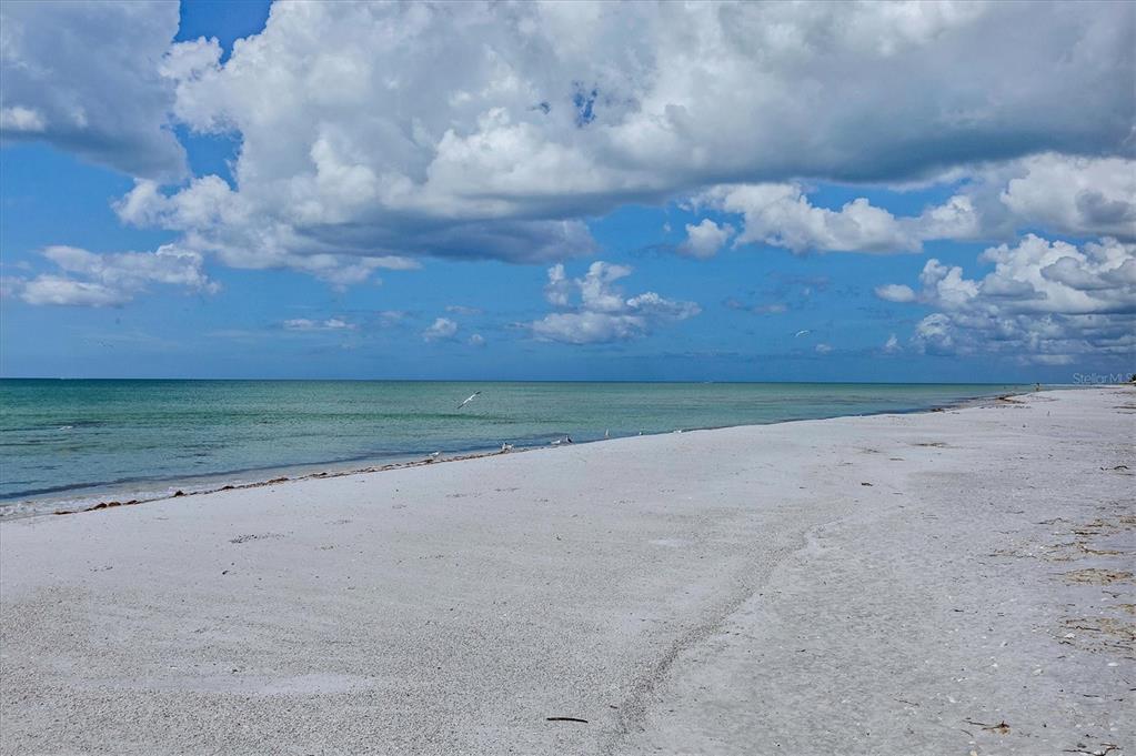 5000 Gasparilla Road, Unit 304 Boca Grande, FL 33921 - Photo 25 of 30 a view of a dry yard