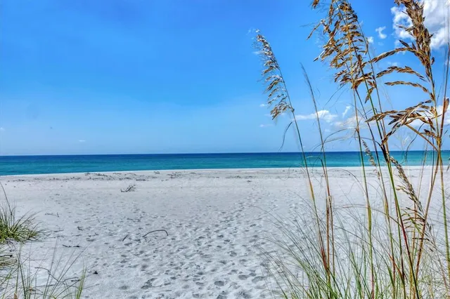a view of a backyard of the house