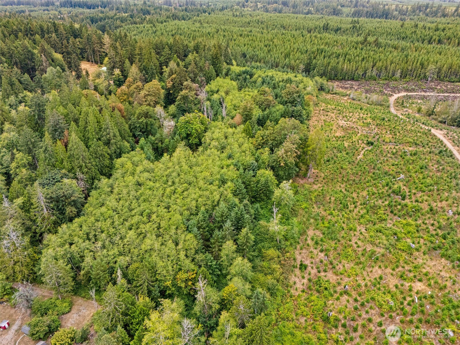 0 East Lombard Road North Grapeview, WA 98546 - Photo 6 of 32 Gallery Image 6