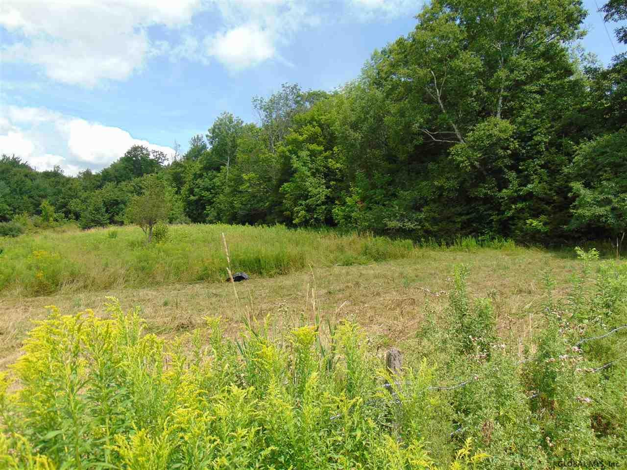 0 Mace Road Gilboa, NY 12076 - Photo 11 of 17 Photo 14