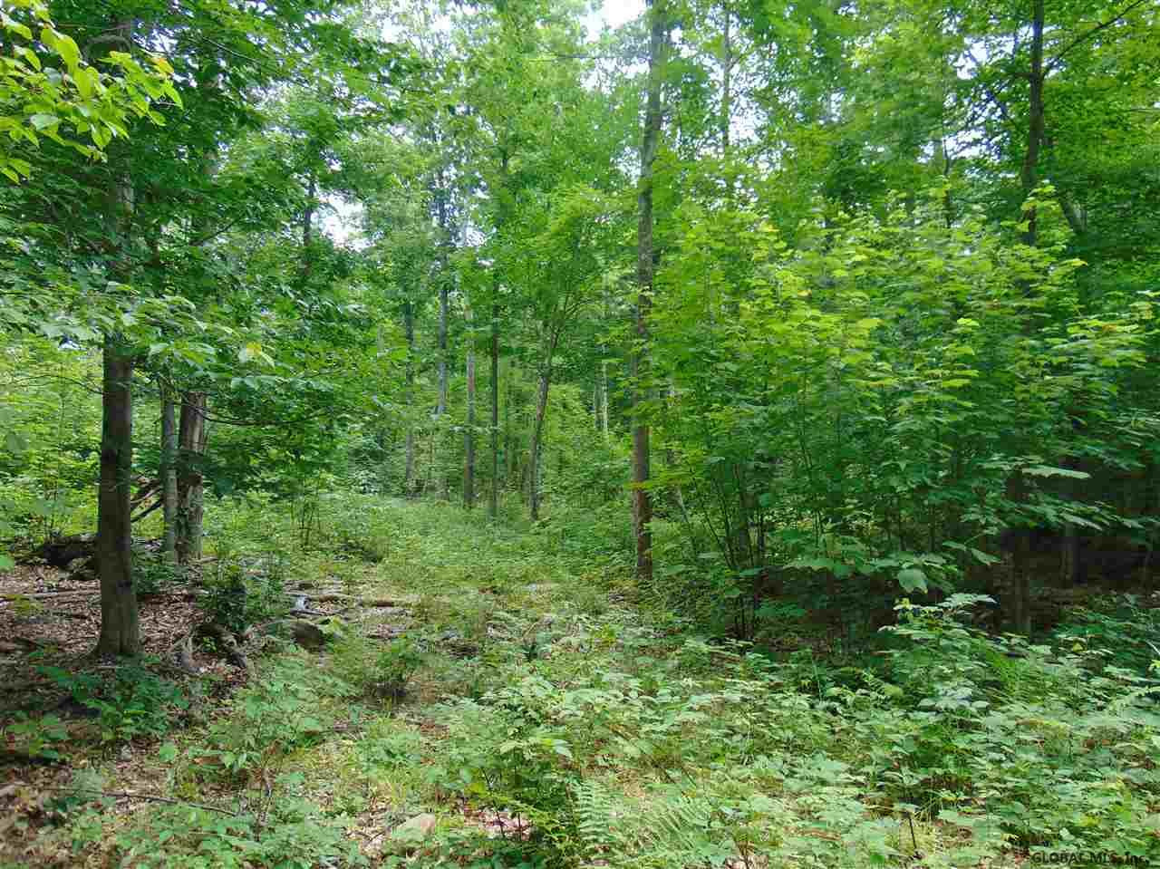 0 Mace Road Gilboa, NY 12076 - Photo 12 of 17 Photo 15