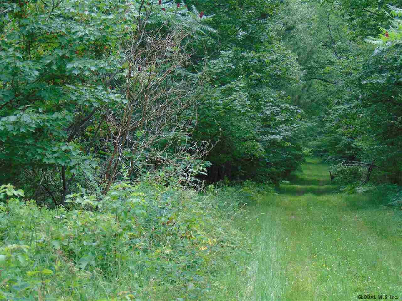 0 Mace Road Gilboa, NY 12076 - Photo 13 of 17 Photo 18