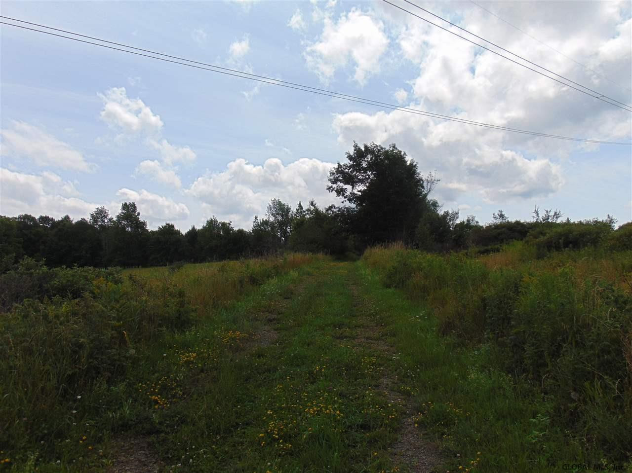 0 Mace Road Gilboa, NY 12076 - Photo 14 of 17 Photo 20