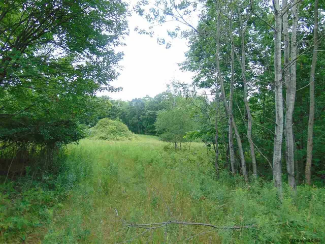 $149,000 | 0 Mace Road, Gilboa, NY 12076