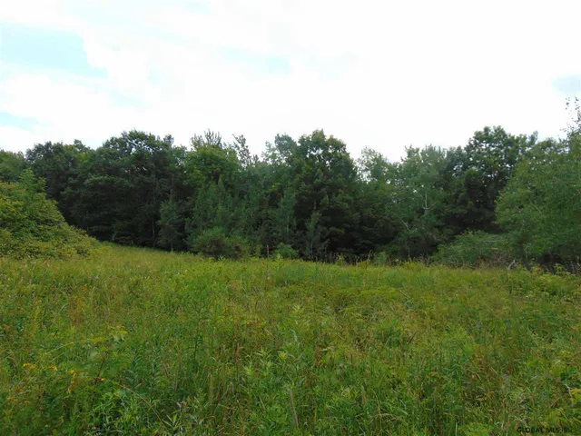 $149,000 | 0 Mace Road, Gilboa, NY 12076