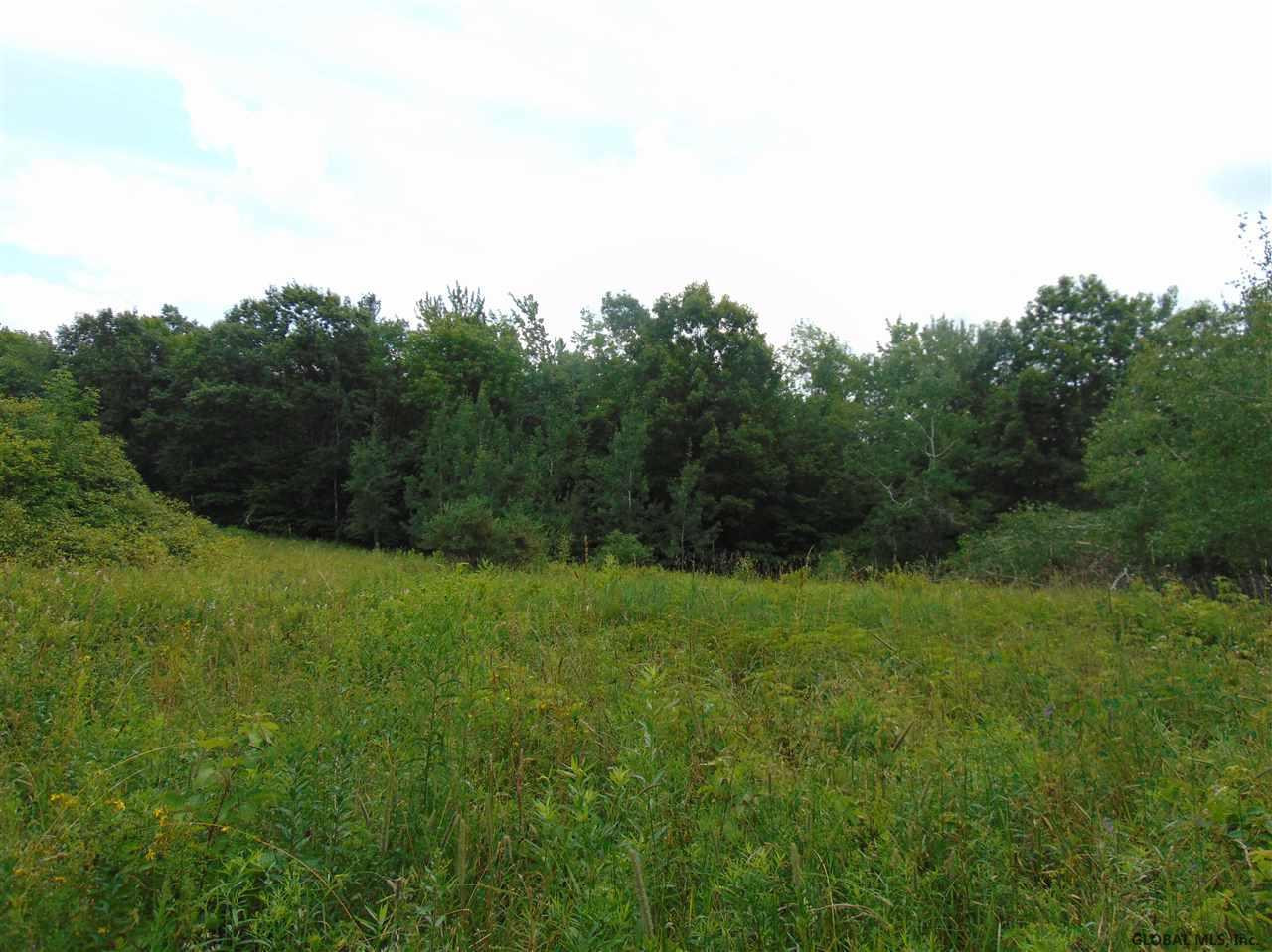 0 Mace Road Gilboa, NY 12076 - Photo 17 of 17 Photo 23