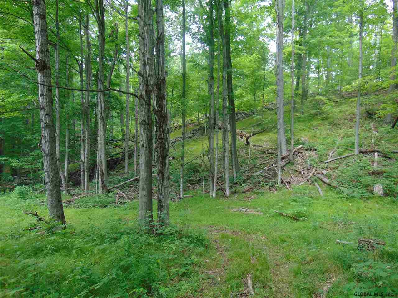 0 Mace Road Gilboa, NY 12076 - Photo 2 of 17 Photo 2