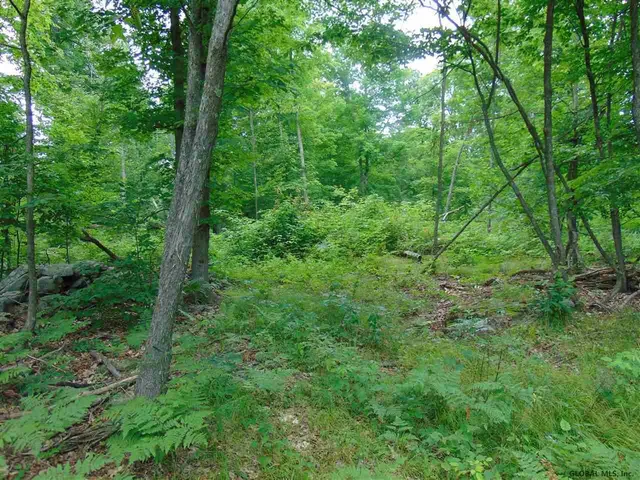 $149,000 | 0 Mace Road, Gilboa, NY 12076