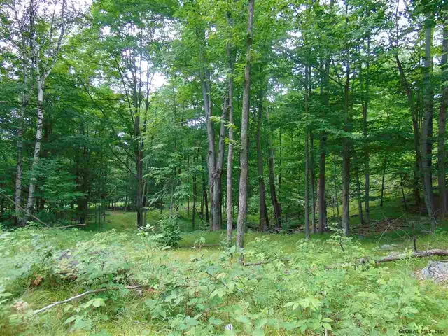$149,000 | 0 Mace Road, Gilboa, NY 12076