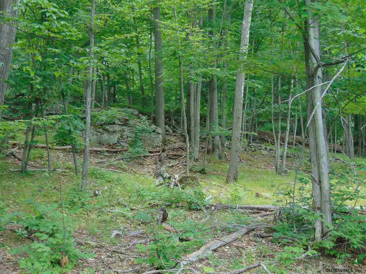 0 Mace Road Gilboa, NY 12076 - Photo 6 of 17 Photo 6