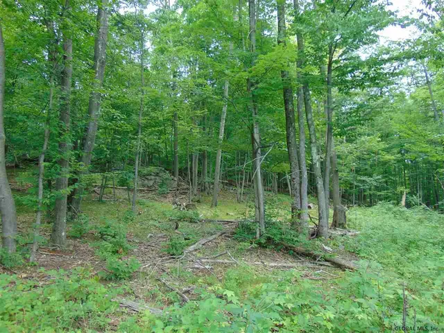 $149,000 | 0 Mace Road, Gilboa, NY 12076