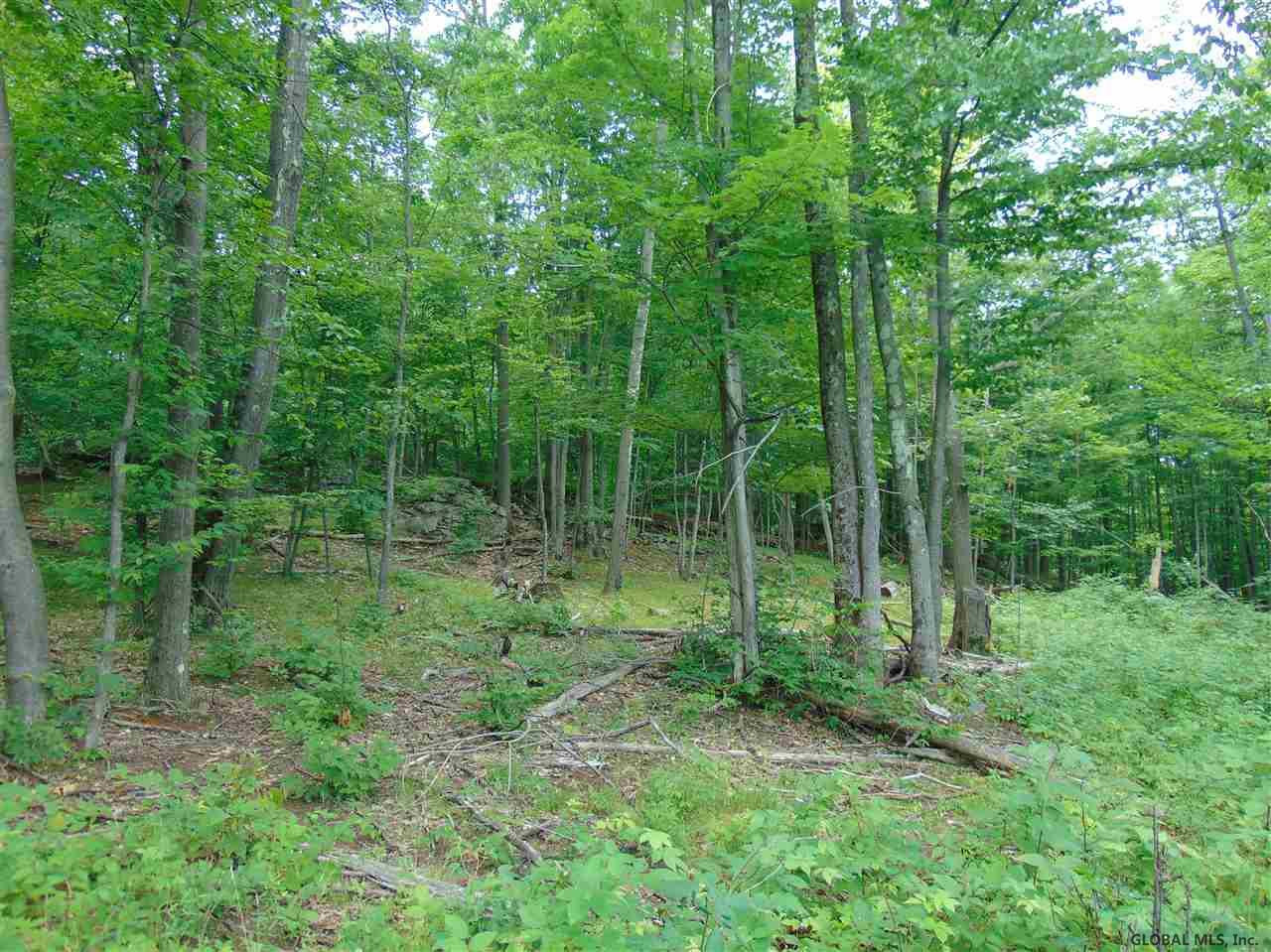 0 Mace Road Gilboa, NY 12076 - Photo 7 of 17 Photo 7