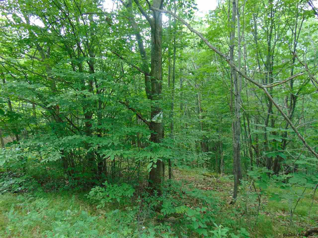 0 Mace Road Gilboa, NY 12076 - Photo 9 of 17 Photo 9