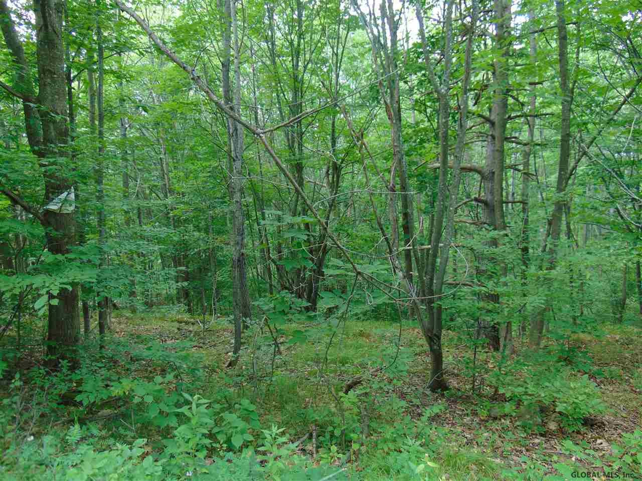 0 Mace Road Gilboa, NY 12076 - Photo 10 of 17 Photo 12