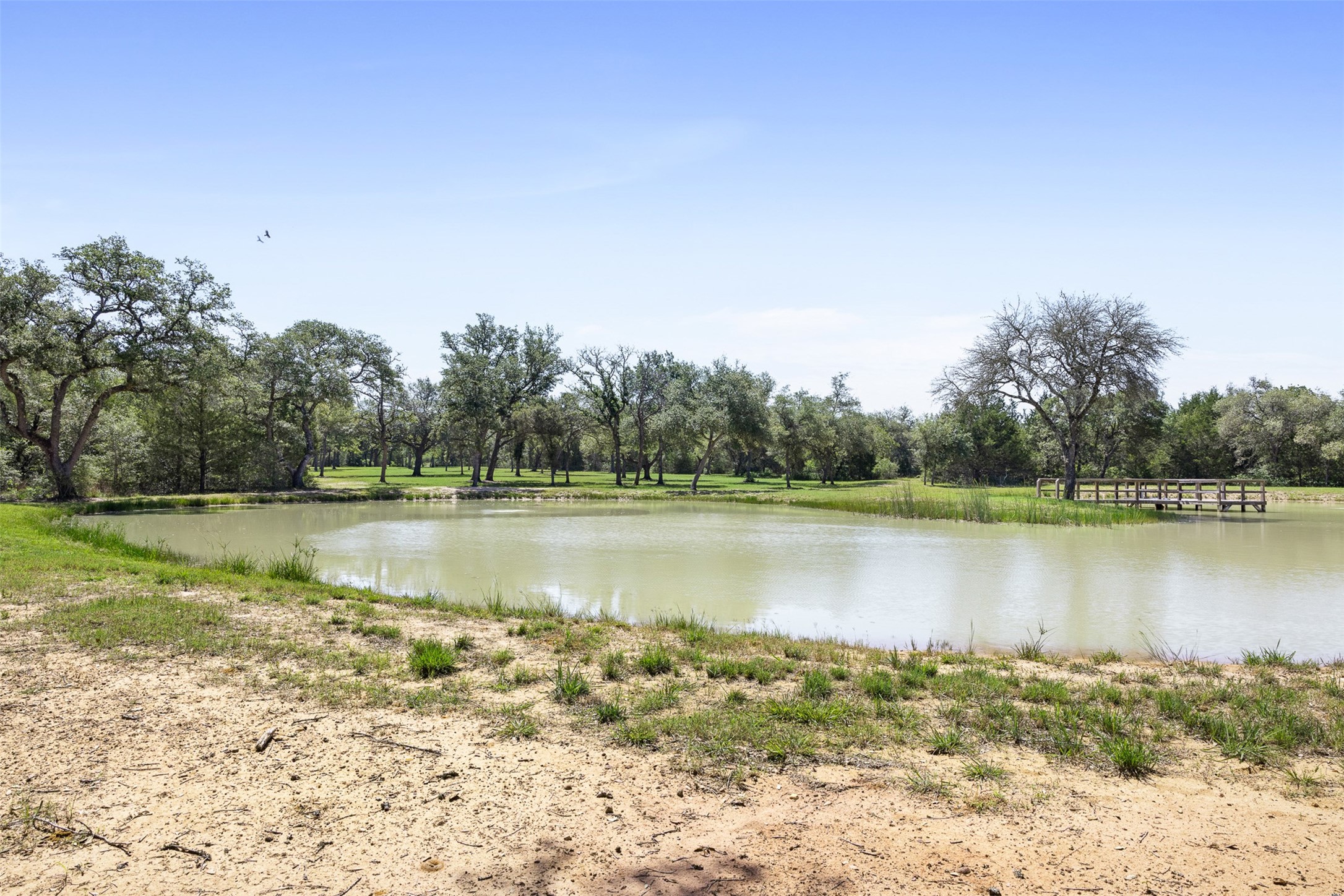 2215 Oak Ridge Road Weimar, TX 78962 - Photo 29 of 36