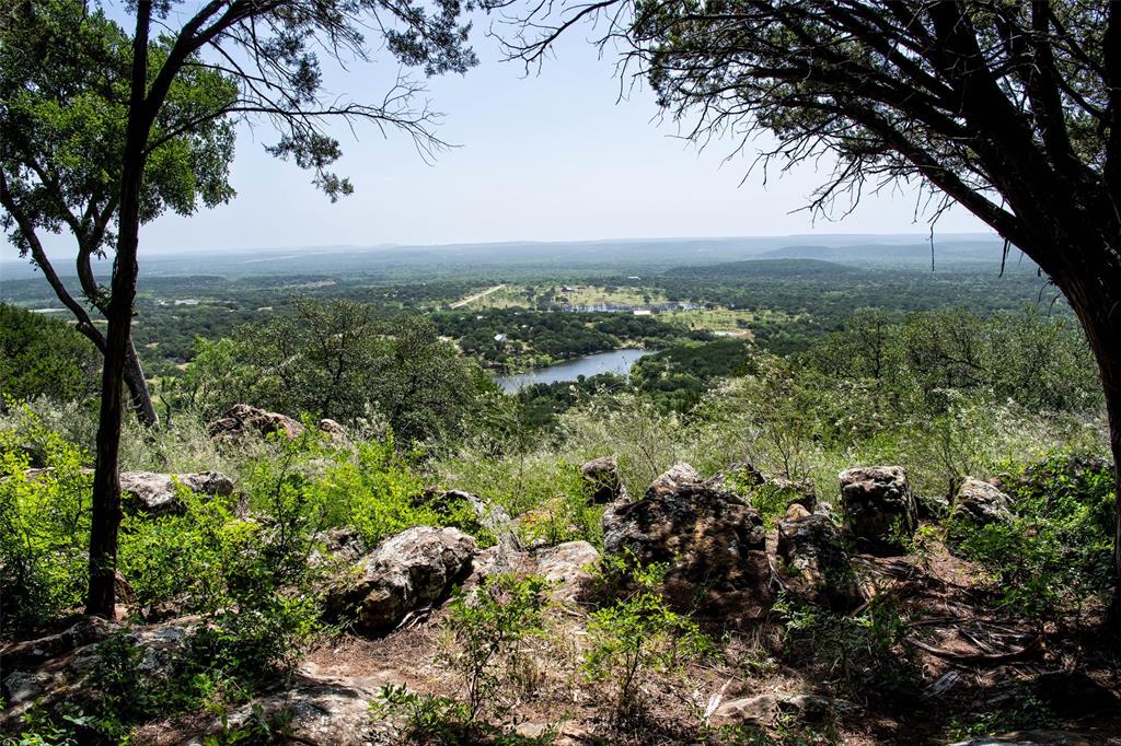 235 Big Bear Loop Strawn, TX 76475 - Photo 1 of 40 a view of a garden with plants and large trees