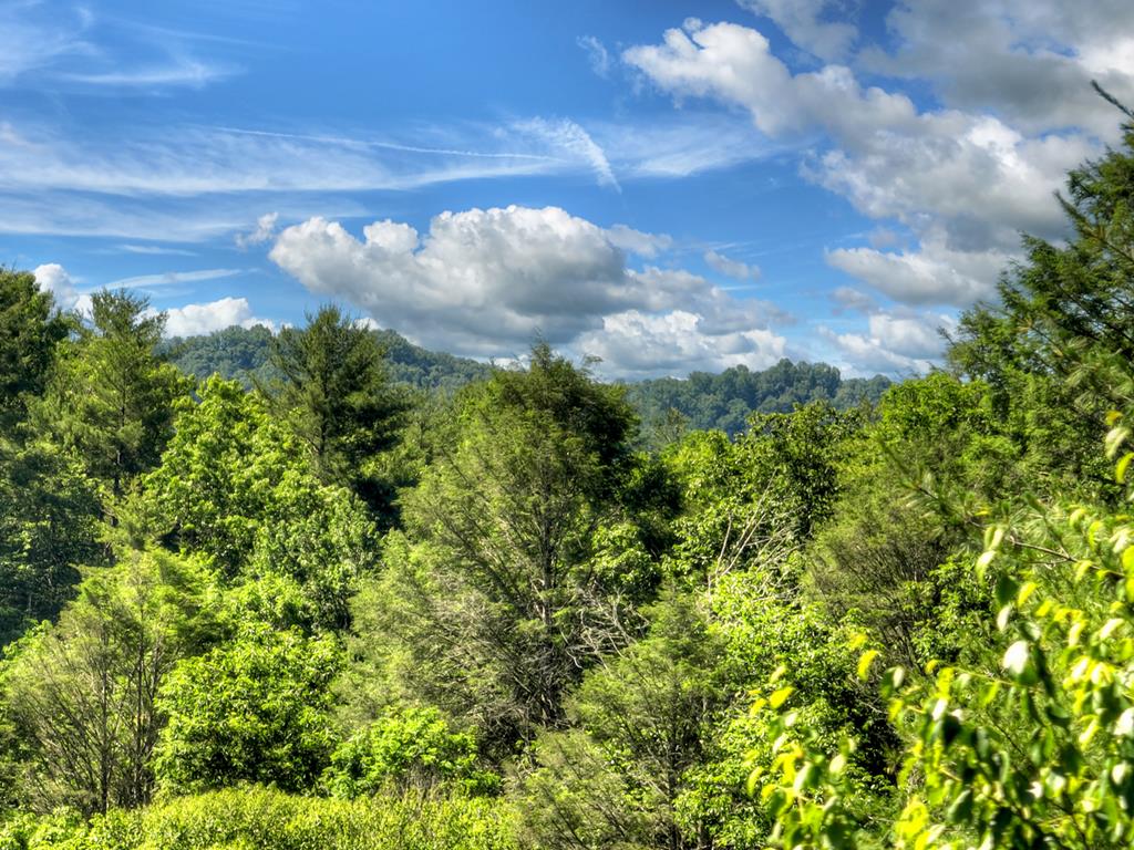 260 Down Under Road Blue Ridge, GA 30513 - Photo 45 of 98