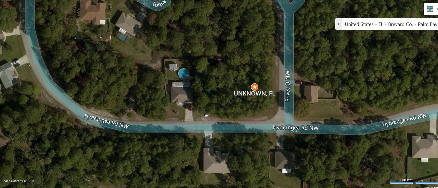 1739 Hydrangea (corner With Privet) Road Palm Bay, FL 32907 - Photo 6 of 8 a view of a swimming pool
