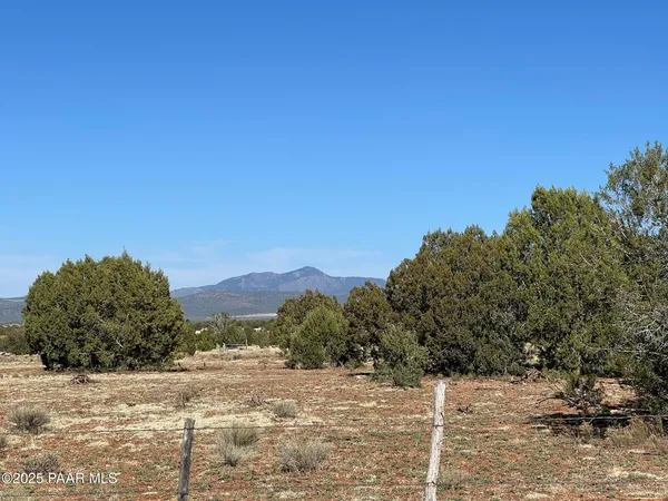 a view of a dry yard with trees