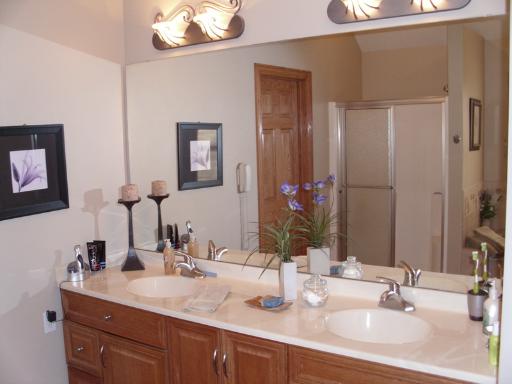 4174 River Ridge Sandwich, IL 60548 - Photo 10 of 16 a bathroom with double vanity sinks and a mirror