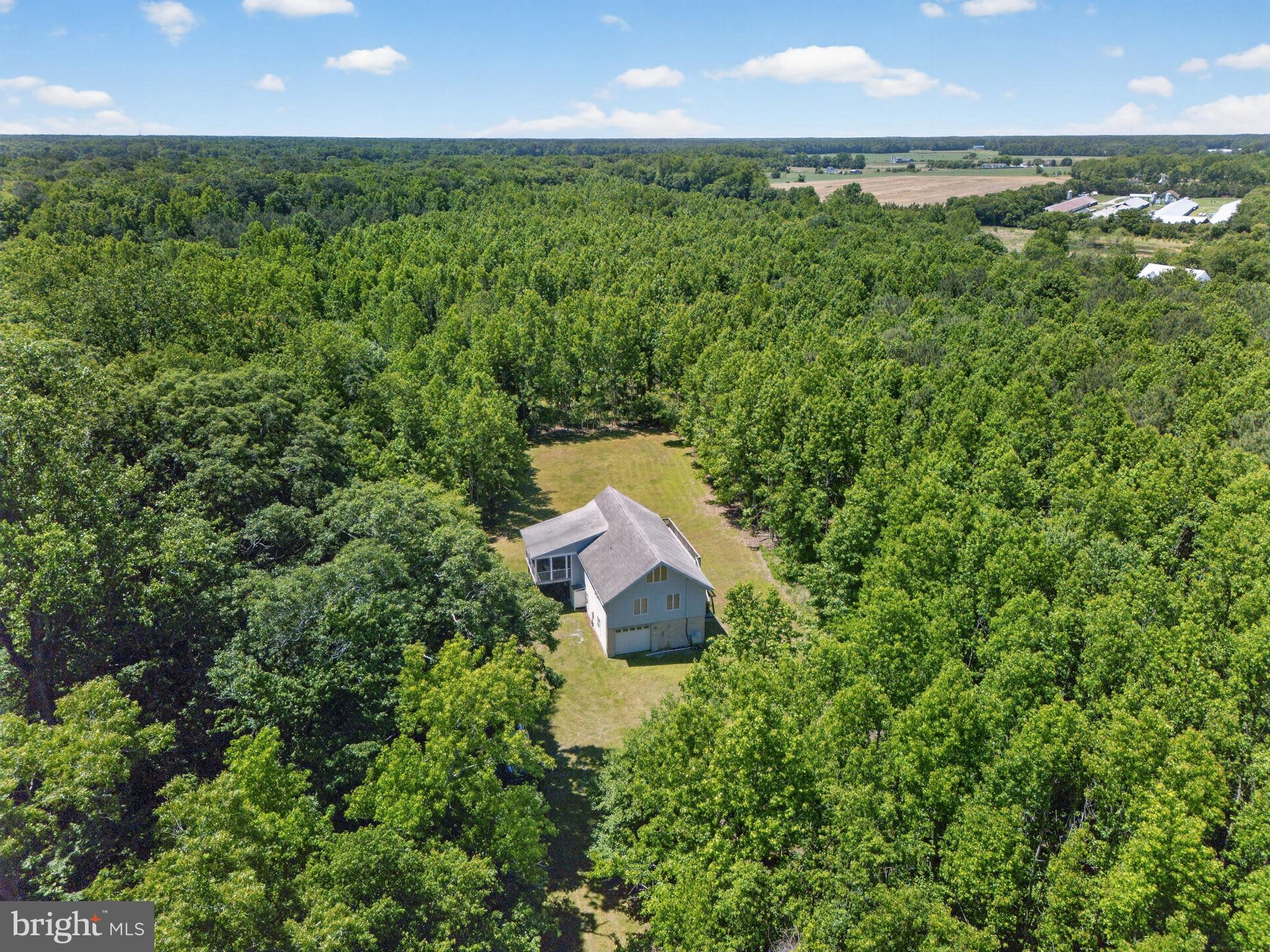 34898 Rickards Road Frankford, DE 19945 - Photo 41 of 50
