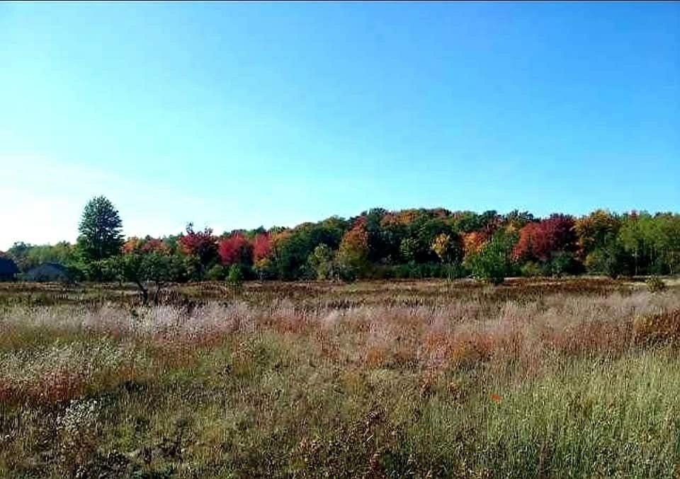 3955 West Crofton Road Southwest South Boardman, MI 49680 - Photo 14 of 18