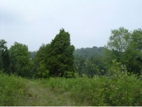 461 Bullock Hollow Road Bristol, TN 37620 - Photo 1 of 4 Photo 1