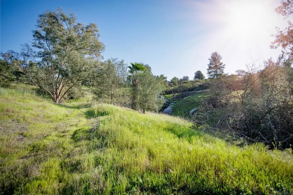0 McNally Road Valley Center, CA 92082 - Photo 11 of 23 a view of a yard with a tree