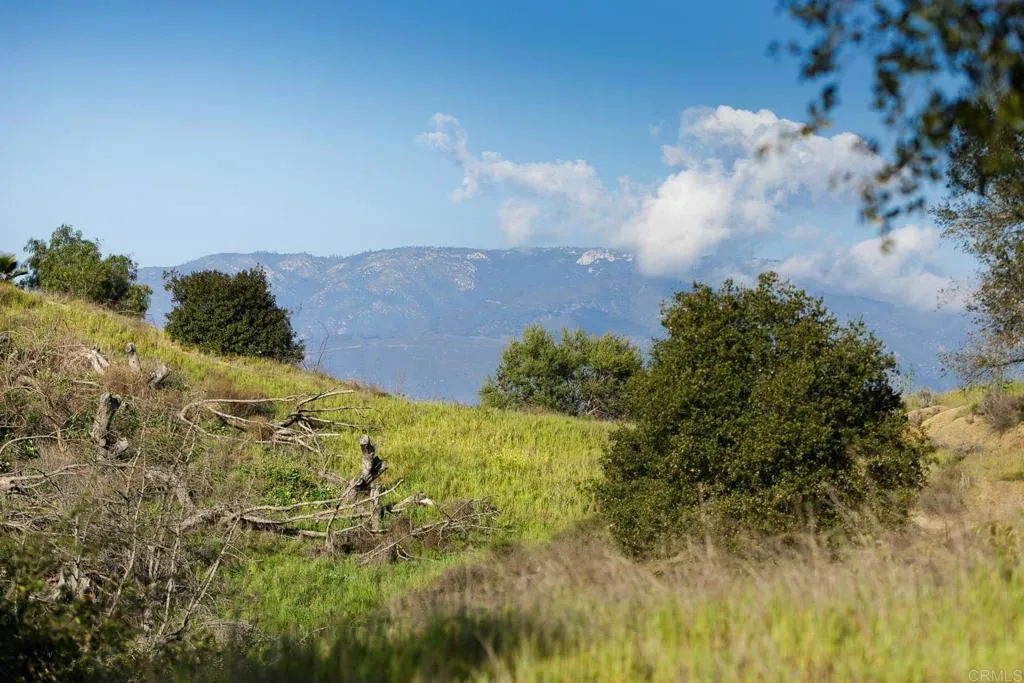 0 McNally Road Valley Center, CA 92082 - Photo 12 of 23 a view of a yard