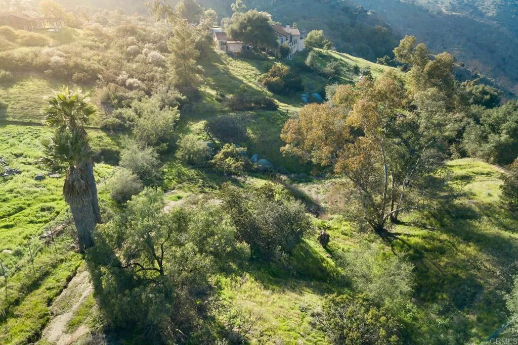 0 McNally Road Valley Center, CA 92082 - Photo 16 of 23 a close up of a plant