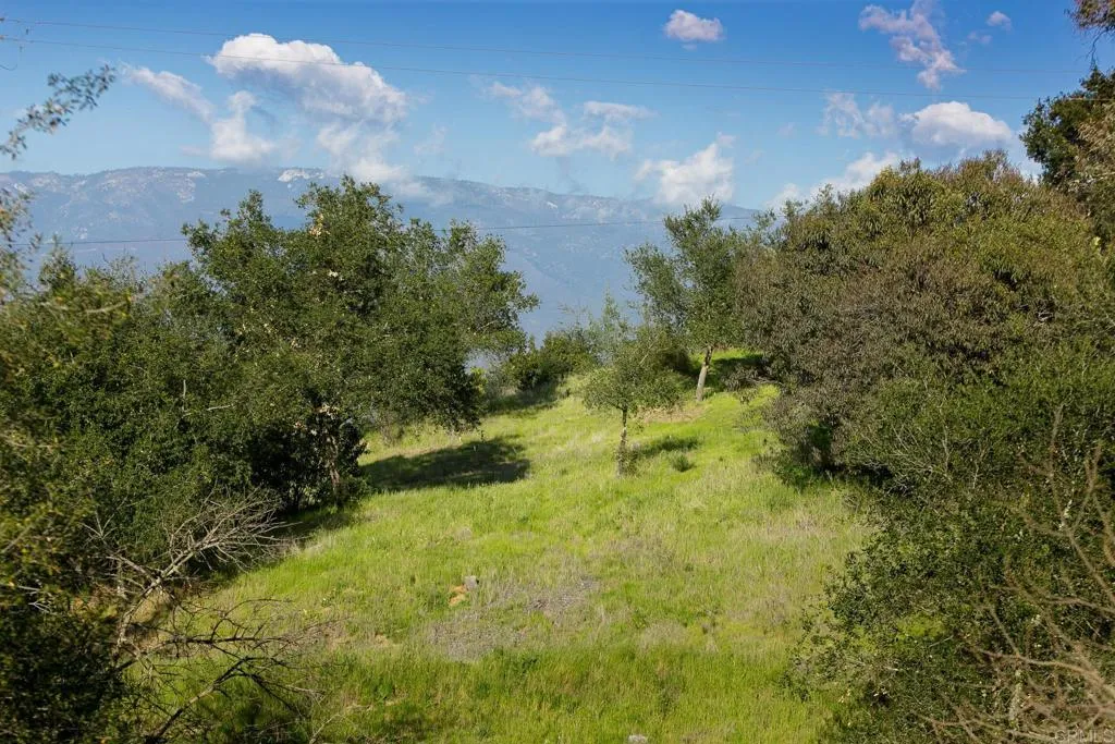 0 McNally Road Valley Center, CA 92082 - Photo 7 of 23 a view of a big yard with large trees