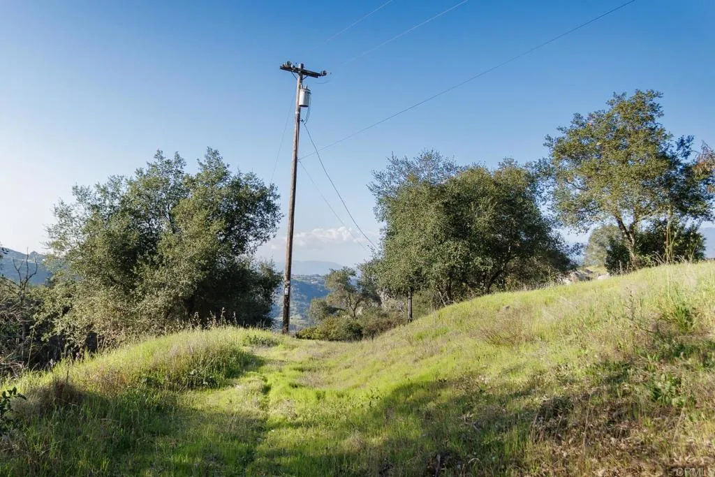 0 McNally Road Valley Center, CA 92082 - Photo 9 of 23 a view of a tree in a yard