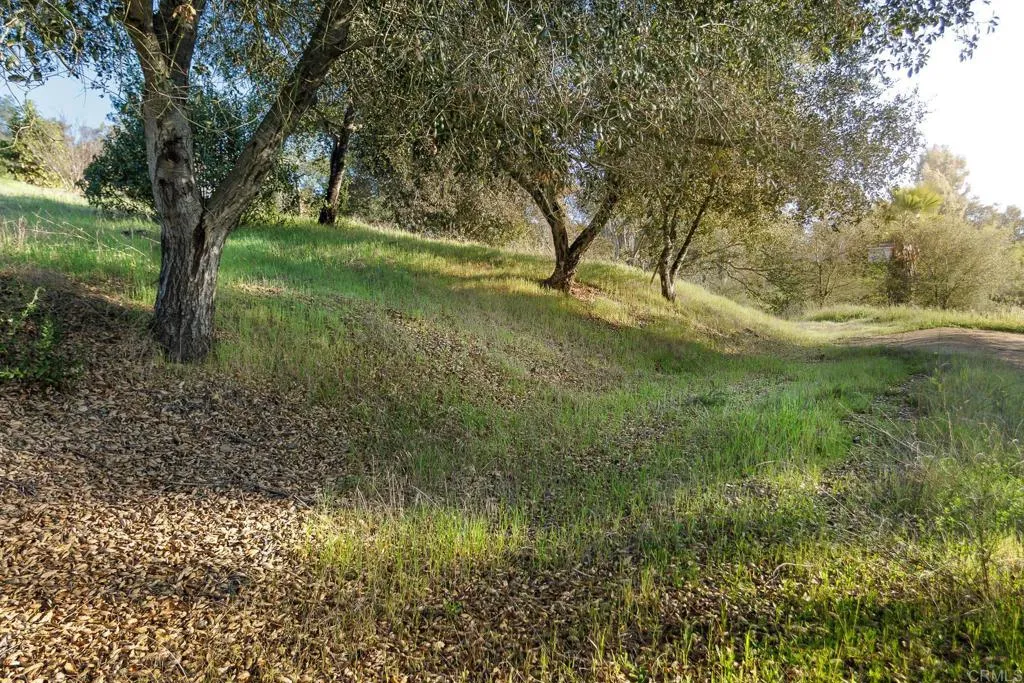 0 McNally Road Valley Center, CA 92082 - Photo 10 of 23 a view of outdoor space and yard