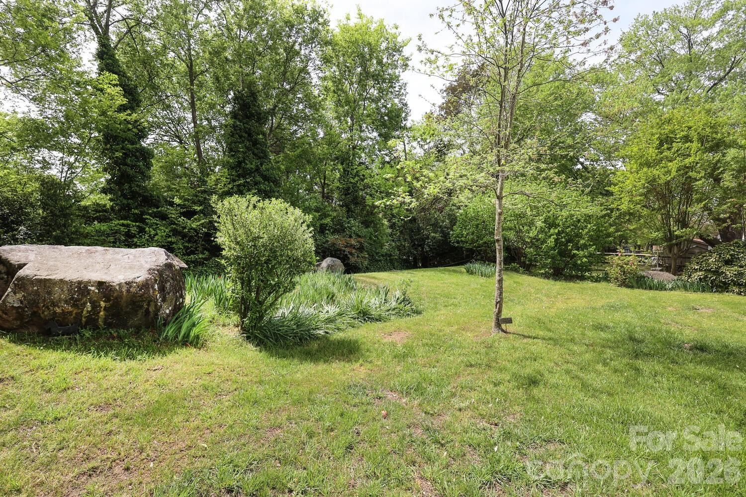 2000 Lawton Bluff Road Charlotte, NC 28226 - Photo 31 of 40 a view of a field with a tree