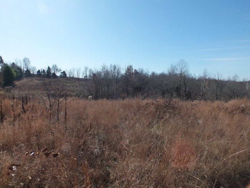 148 Turci Nevins Road Caneyville, KY 42721 - Photo 29 of 32 Gallery Image 29
