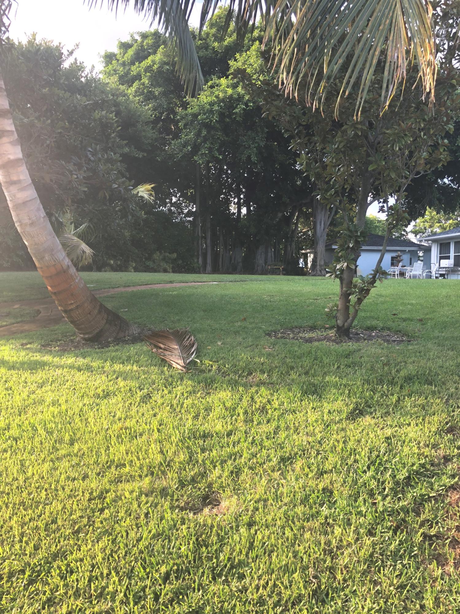 625 Atlantic Road North Palm Beach, FL 33408 - Photo 18 of 28 a view of a garden with an outdoor space