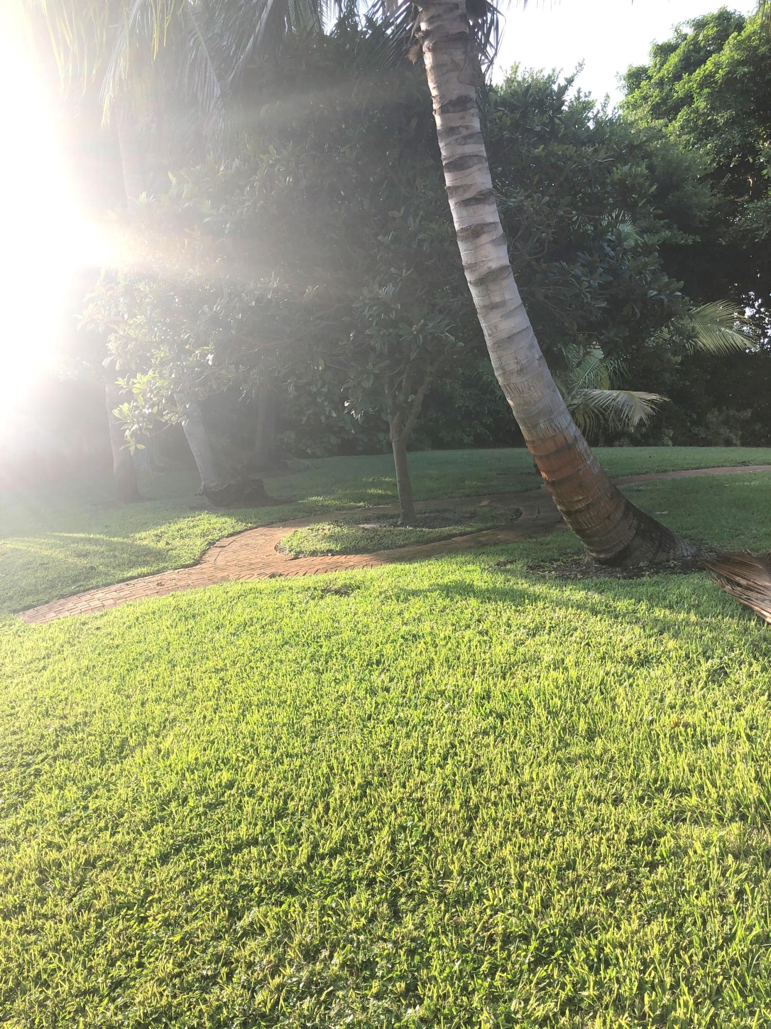 625 Atlantic Road North Palm Beach, FL 33408 - Photo 19 of 28 a view of outdoor space and yard