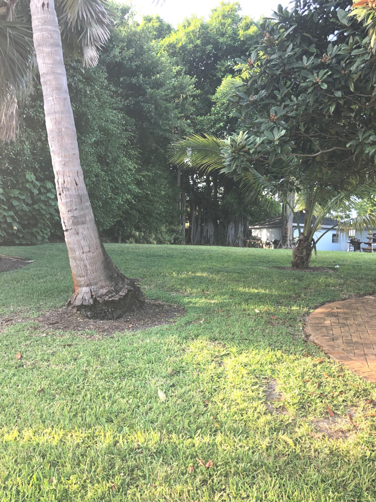 625 Atlantic Road North Palm Beach, FL 33408 - Photo 20 of 28 a view of a park with large trees