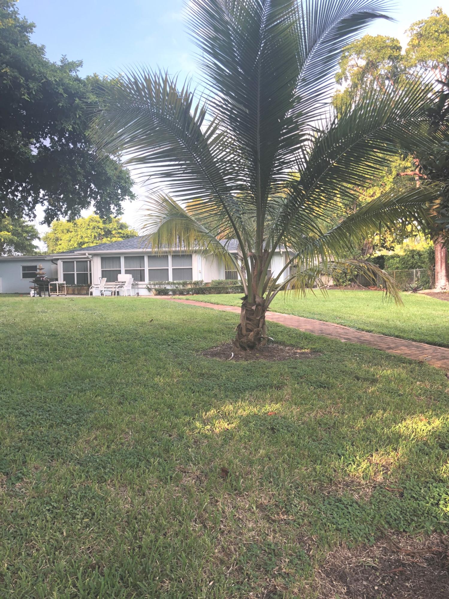 625 Atlantic Road North Palm Beach, FL 33408 - Photo 23 of 28 a view of yard with tree and green space