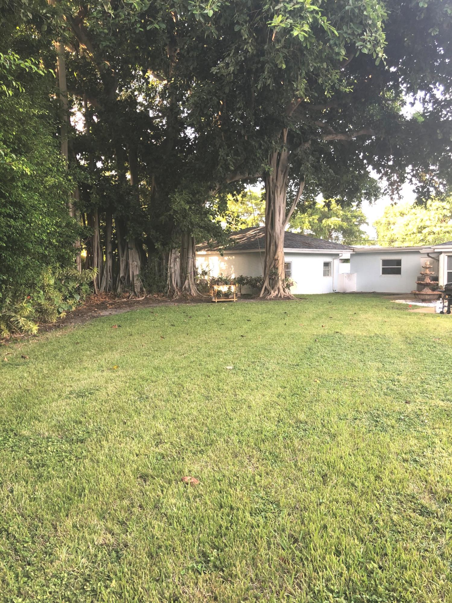 625 Atlantic Road North Palm Beach, FL 33408 - Photo 28 of 28 a view of a large yard with a large tree