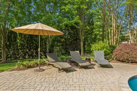 a view of a dry yard