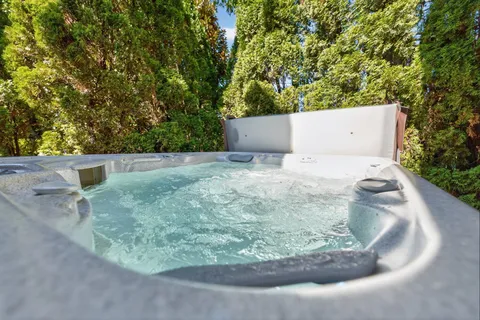 a view of backyard with outdoor seating and plants
