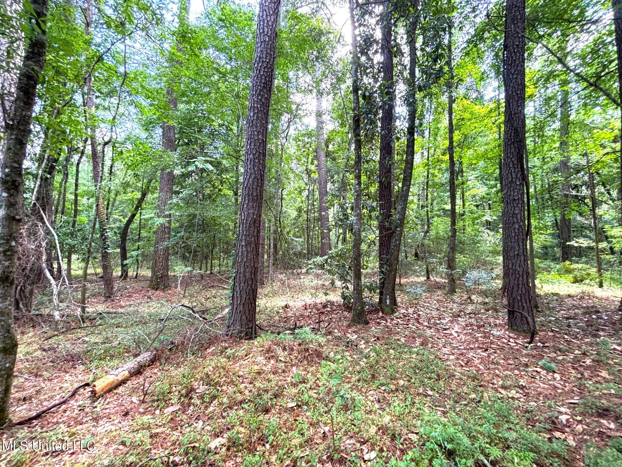 Southeast Freeman Road Summit, MS 39666 - Photo 7 of 11 IMG_2072