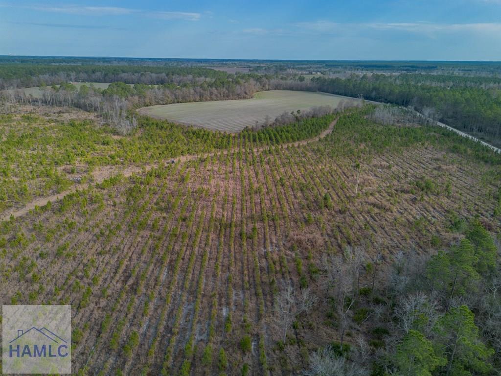3 Reddish Road Screven, GA 31560 - Photo 27 of 55 Gallery Image 27