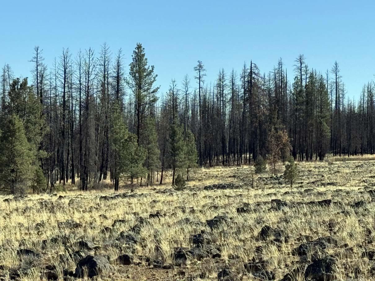Bull Pine Road, Unit 500 400 300 Beatty, OR 97621 - Photo 11 of 50 IMG_4194