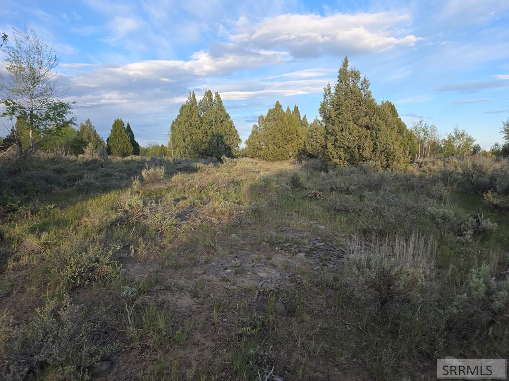 Tbd 40-ac Tbd 40-ac Arcadia Road Ashton, ID 83420 - Photo 31 of 43