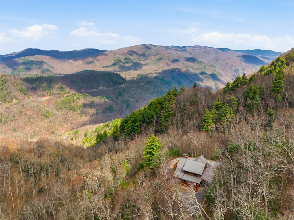 830 Noon Day Sun Ridge Topton, NC 28781 - Photo 8 of 59